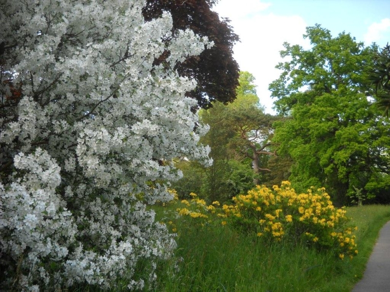 Bateman's Burwash NGS Gardens